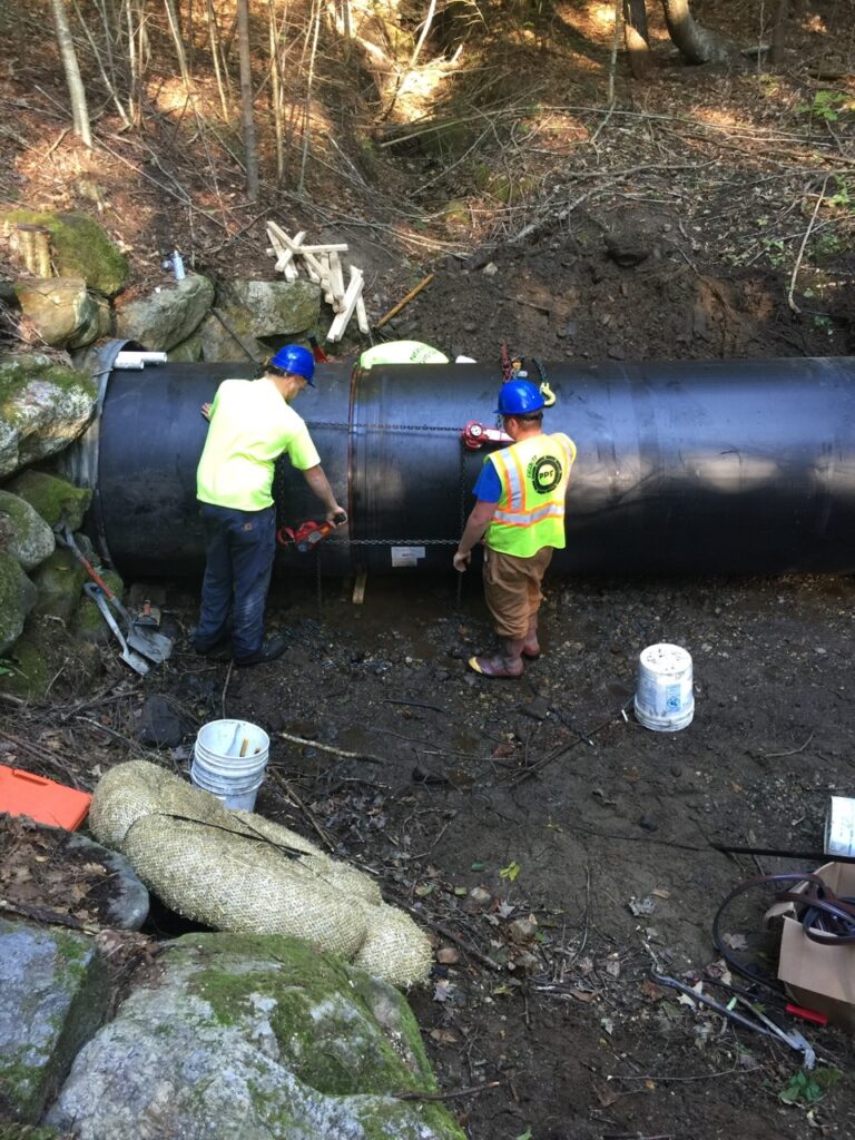 westhampton, ma 60 in cmp Large