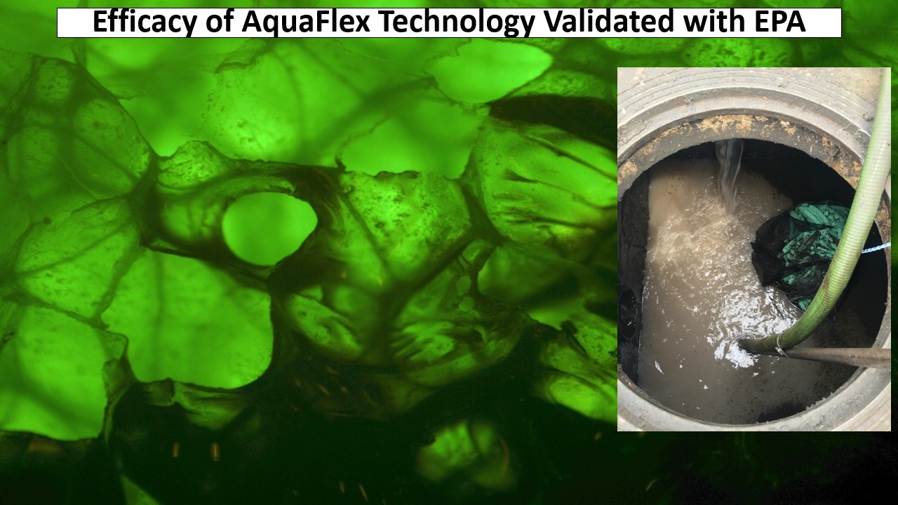 Slide5